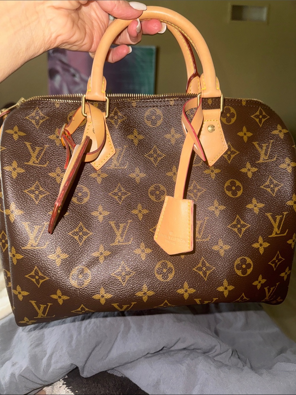 Louis Vuitton Brown Monogram Satchel with Natural Vachetta Handles